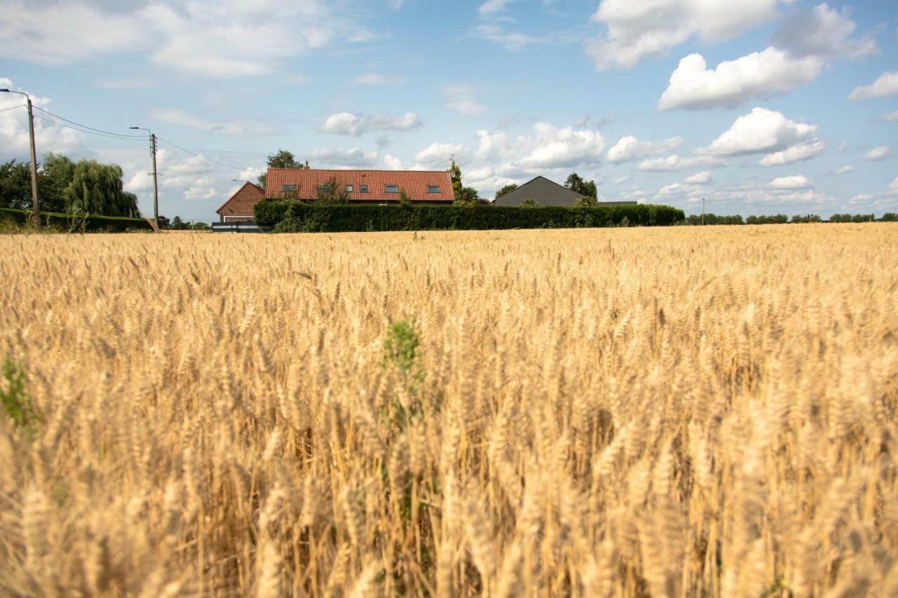 Gites De La Vesee La Chapelle d'Armentieres Bagian luar foto